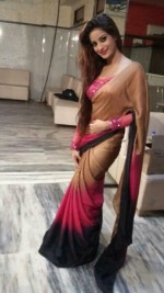 Delhi Escorts - Celly Indian Delhi Escort