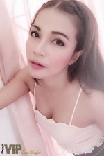 Bangkok Escorts - Tofiw thai Bangkok Escort