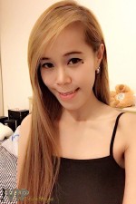 Bangkok Shemale Escorts - Jess thai Bangkok Escort