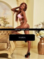 Vienna Escorts - Naria Girls Escort in Vienna - ID-24603