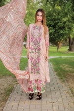 Dubai Escorts - Suhani Kaur Indian Dubai Escort