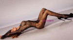 Bucharest Escorts - Greta Von Sinn romania Bucharest Escort