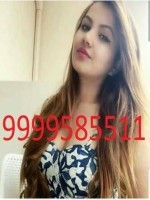 Essex Escorts - Delhi Escort Girls Escort in Essex - ID-33358