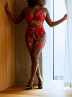 Alina Elite Nottingham Escort