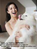 Kuala Lumpur Escorts - Sarah Girls Escort in Kuala Lumpur - ID-6340